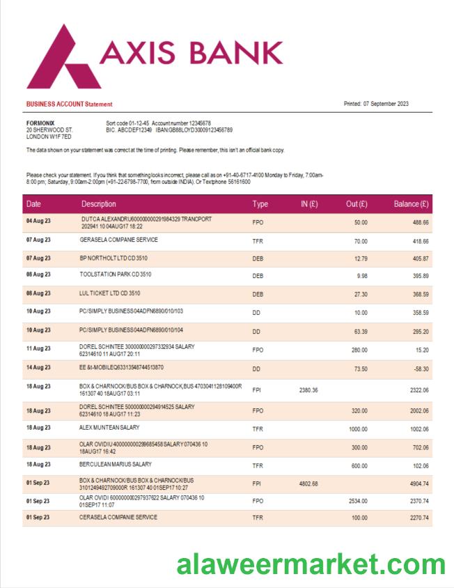 Axis Bank enterprise statement Word and PDF template